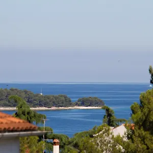  Apartman Nega 1
